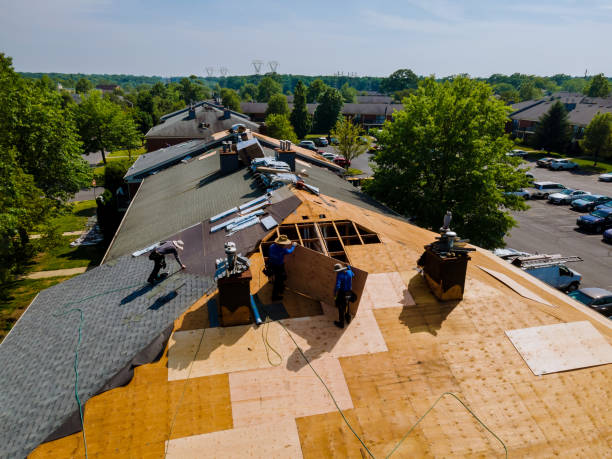Trusted Roof Inspection service in Blodgett, OR - Brentwood Metal Roofing